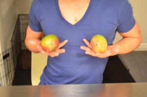 grilled fruit salad1