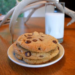TJ's chocolate chip cookies plated