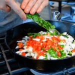 Skillet Queso04