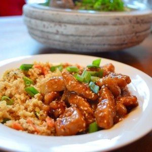 Sesame Chicken - 10